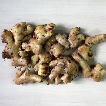 Ginger (31)-2857569-14240.webp